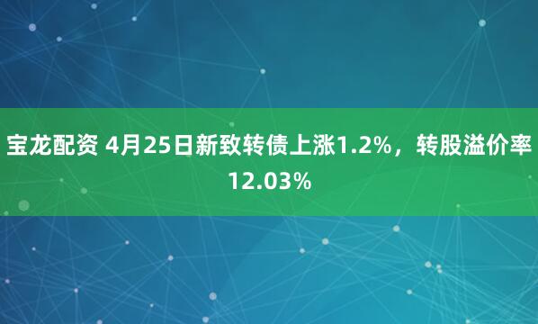 宝龙配资 4月25日新致转债上涨1.2%，转股溢价率12.03%