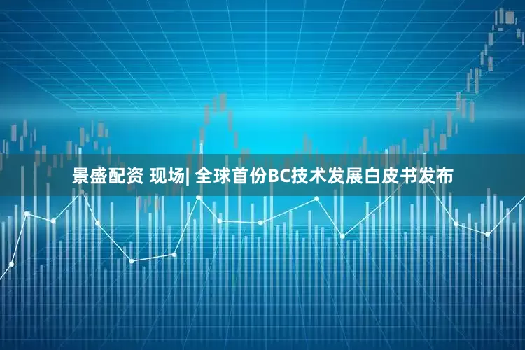 景盛配资 现场| 全球首份BC技术发展白皮书发布