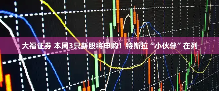 大福证券 本周3只新股将申购！特斯拉“小伙伴”在列