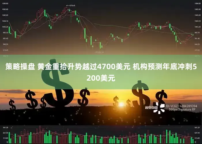 策略操盘 黄金重拾升势越过4700美元 机构预测年底冲刺5200美元